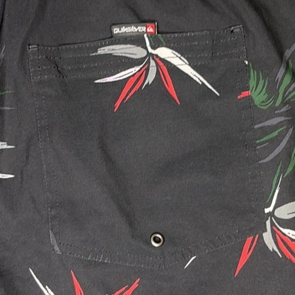 Quiksilver Everyday Mix 17” Volley Swim Trunks with Bird of Paradise Print - Picture 6 of 8